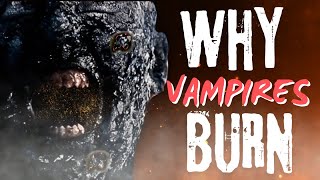 Why Vampires Burn In The Sun (Top 10 Franchises)