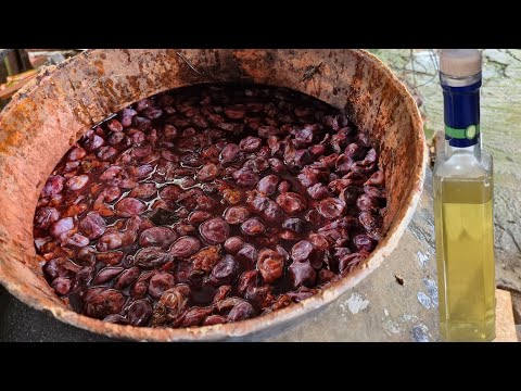 Preparare tuica de prune. Cazan  din cupru. @ramonaluca1985