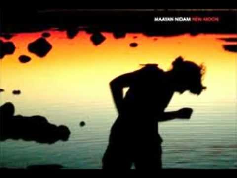 Maayan Nidam-Last Moon (Original Mix)