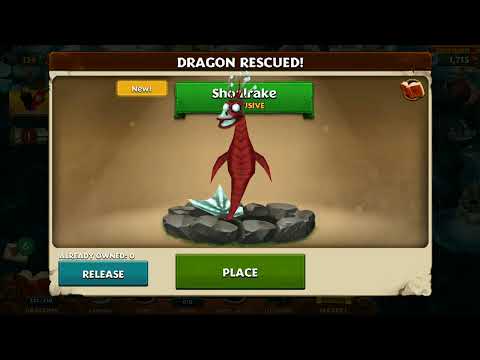 New Dragon - SHOALRAKE 🕺😍🎉🐲
