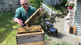 The ultimate spring question. Is it time to add another box?