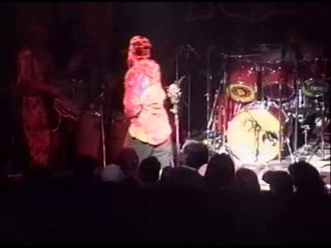 Mighty Purple Toads Place 3-20-1994