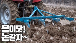 봄이 오면 논을 갈아야 제맛이지! 트랙터 쟁기작업 KOREAN AGRICULTURE