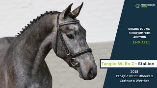 Tangilo Wi Ro Z - under the saddle