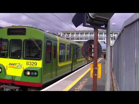 29000 and 8300 class trains in Blackrock station, Dublin