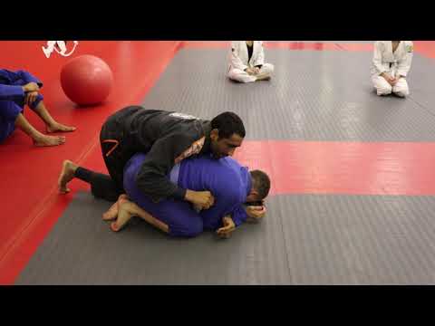 Denilson Pimenta - Turn Over a Turtle - Gi