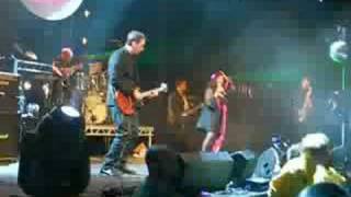 X-Ray Spex - Identity