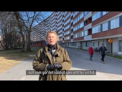 Upptäck länet – Antikvarie Stina Hagelqvist visar sina favoriter i länet.