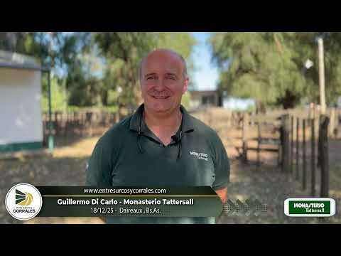 18-12-25 - Guillermo Di Carlo - Monasterio Tattersall - Daireaux, Bs.As.