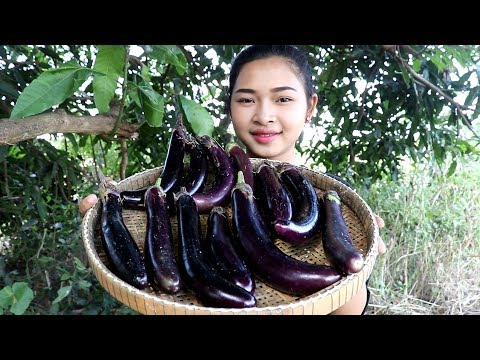 Awesome Cooking Fry Aubergine Eggplant With Pork Delicious Cook Recipe - Village Food Factory