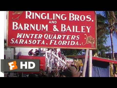 The Greatest Show on Earth (1/9) Movie CLIP - The Circus (1952) HD