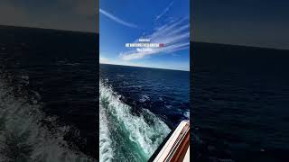 Esta vida ⛴️ Msc Euribia with msc friend Andrea sanmad 🫶 #msceuribia #estavida #msccruceros