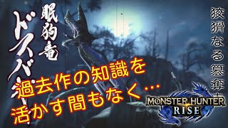 #03 【MHRise／Steam版】休憩中に寝てるからボッチなんだよ(ゆっくり実況)