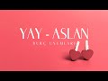 YAY - ASLAN BURÇ UYUMU