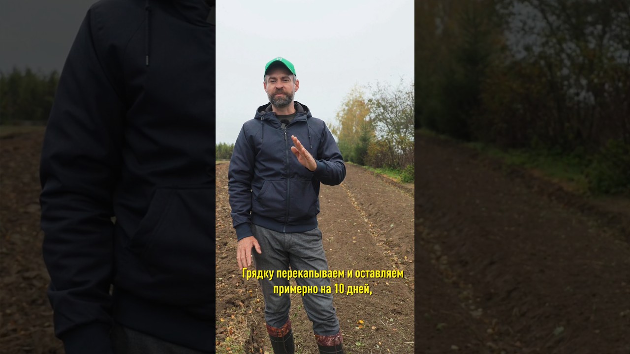 Хотите вырастить крупный чеснок? Тогда сажайте его так!