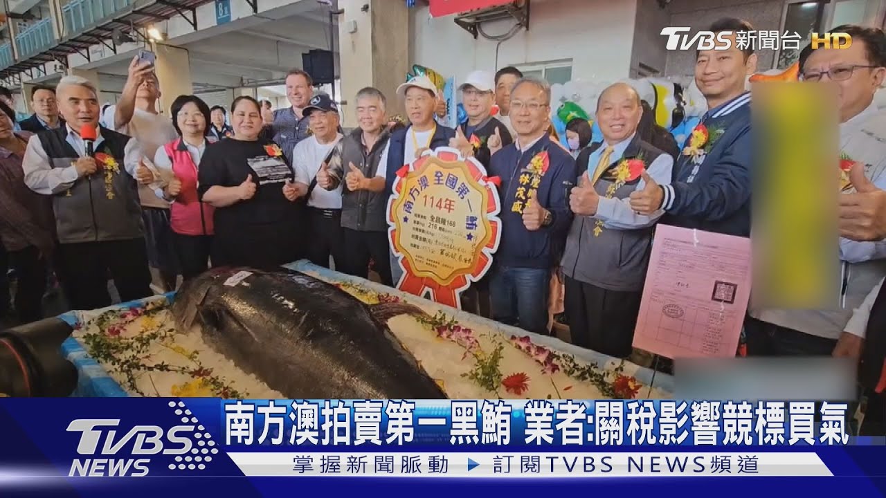 南方澳拍賣第一黑鮪　業者:關稅影響競標買氣