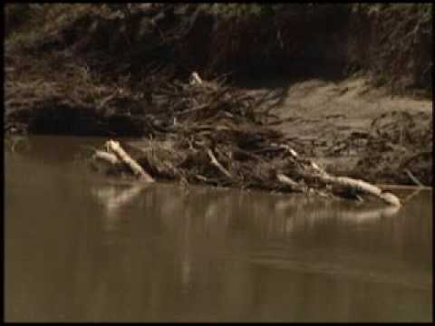 West Nodaway - the right way