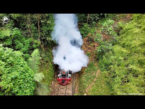🇧🇷 Trem saindo do túnel / Train leaving the tunnel - Apiúna/SC - 2021 - (Brasil)