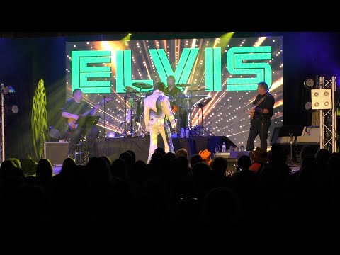 Bill Cherry, “If You Talk in Your Sleep” - video by Susan Quinn Sand