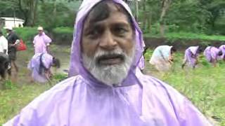 preview picture of video 'Vanarai Amrut Varsha Mahotsav (Vanarai BhatLavni 2012)'