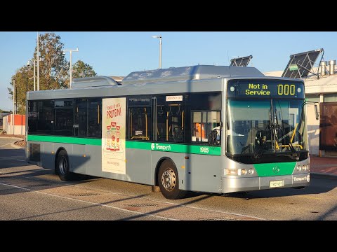 Transperth TP1985 Mercedes-Benz OC500LE CNG(ZF Kickdown)