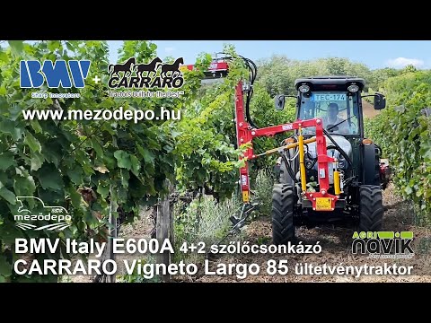 BMV-Italy E 600A szőlő csonkázó késekkel vagy alternáló kivitelben