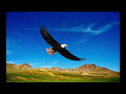 Trost von Jesaja - Predigt Quasimodogeniti von Lektor Michael Ruttmann