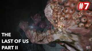 THE LAST OF US PART II #7