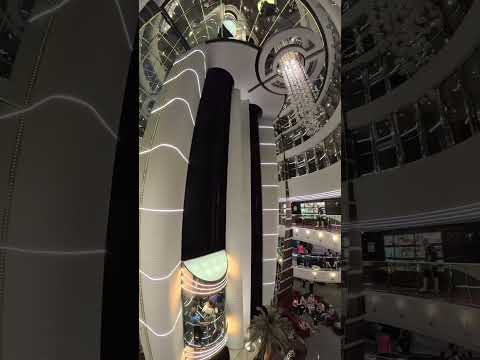 Thumbnail for Glamour que deslumbra… solo en el MSC Divina ✨