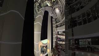 Glamour que deslumbra… solo en el MSC Divina ✨