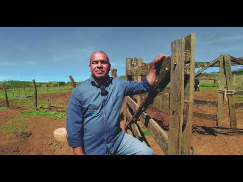 Fazenda Olhos D'água - Alexânia Goiás - Parte II