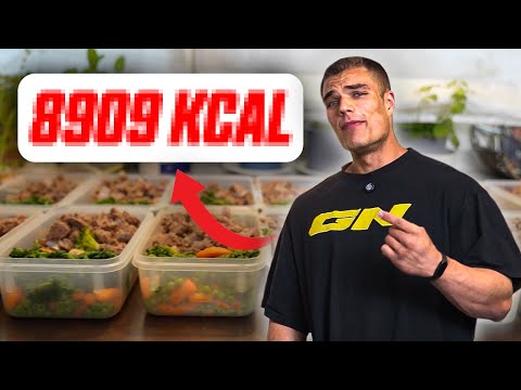 My MEAL PREP for maximum gains