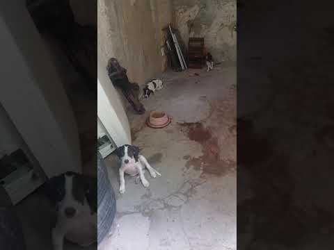 Vídeo de Não tem nome 