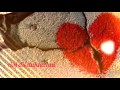 Aaj Dil Dukha Hai Heart Breaking Sad Whatsapp Status 30 Sec