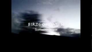 Birds of dawn - Something new