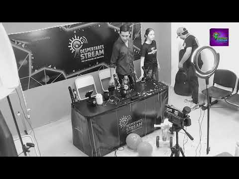 #DespertaresStream. HOY PROGRAMA N°10  |  INVITADOS ESPECIALES