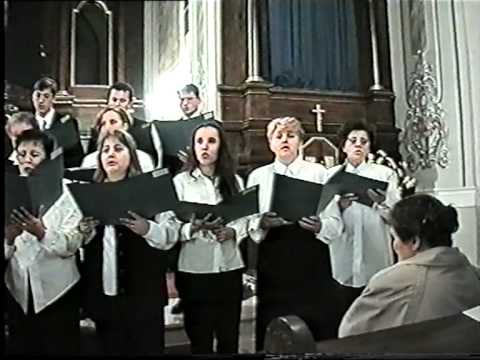 ZBOR RBDM VIŠNJEVAC 1996