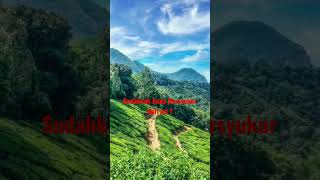 Download lagu Bersyukur Kepada Allah Bersholawat Kepada Rasulullah #shorts #fyp #fypシ #sholawat #feedshorts mp3