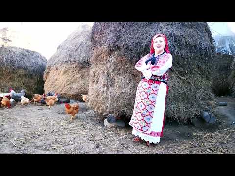 " Bage de cum te-am văzut " - Nicoleta Voica