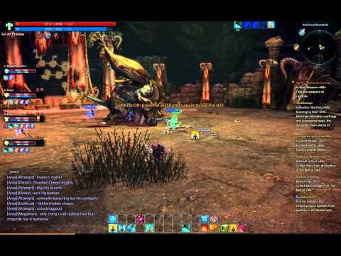 Tera Priest - Last Boss Bastion lvl 20 Instance