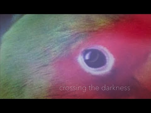 「闇渡り」crossing the darkness / Short Film