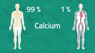 Everything You Need to Know: Calcium Test
