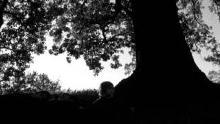 Nuit Noire - Sparkles