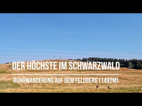 Der Höchste im Schwarzwald- Rundwanderung auf dem Feldberg (1492m)