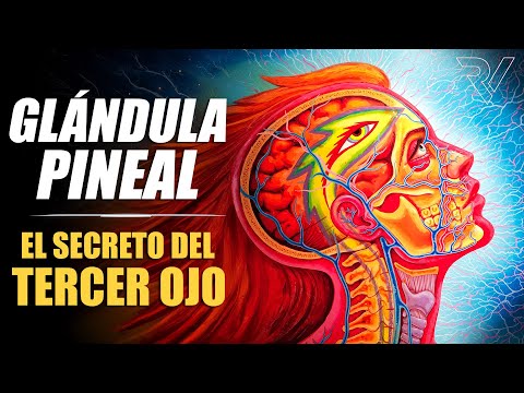 Pineal Gland: The Secret of the Third Eye (not AI)