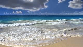 The perfect repose - Montgomery Smith