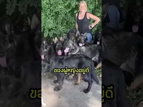 บทพิสูจน์ว่าหมาบ้านนี้รักใครมากกว่ากัน