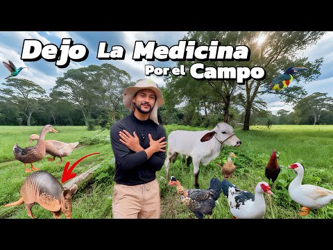 I left Medicine because of my love for Animals and Country Life