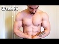 Natural bodybuilder | Carb cycling | Week 14 physique update