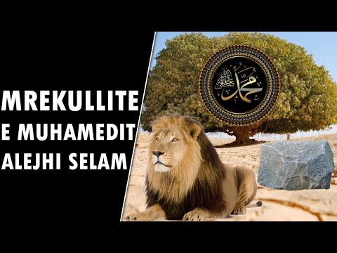 5 mrekullite mahnitese te Profetit a.s Pema qe eci dhe qau, guri qe foli dhe Luani i eger qe u zbut!